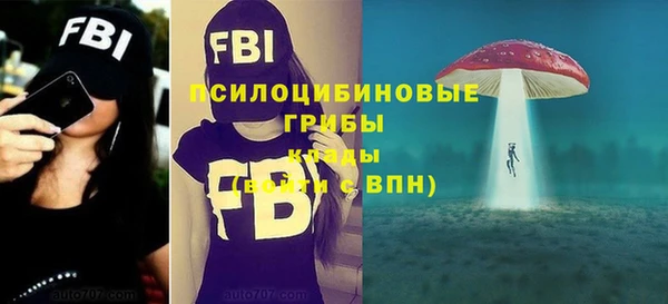 альфа пвп Богородицк