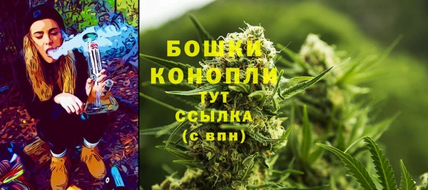 гидропоника Богданович