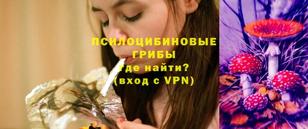PSILOCYBIN Сосновый Бор