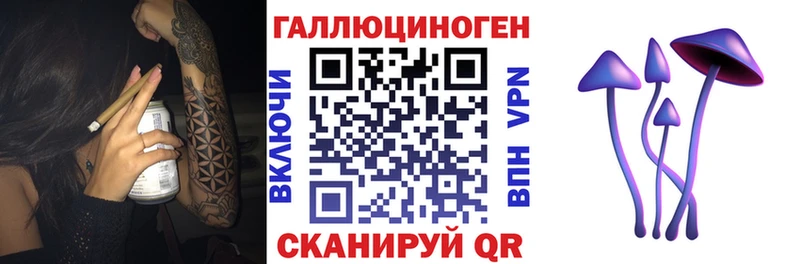 Псилоцибиновые грибы Psilocybine cubensis Верхний Тагил